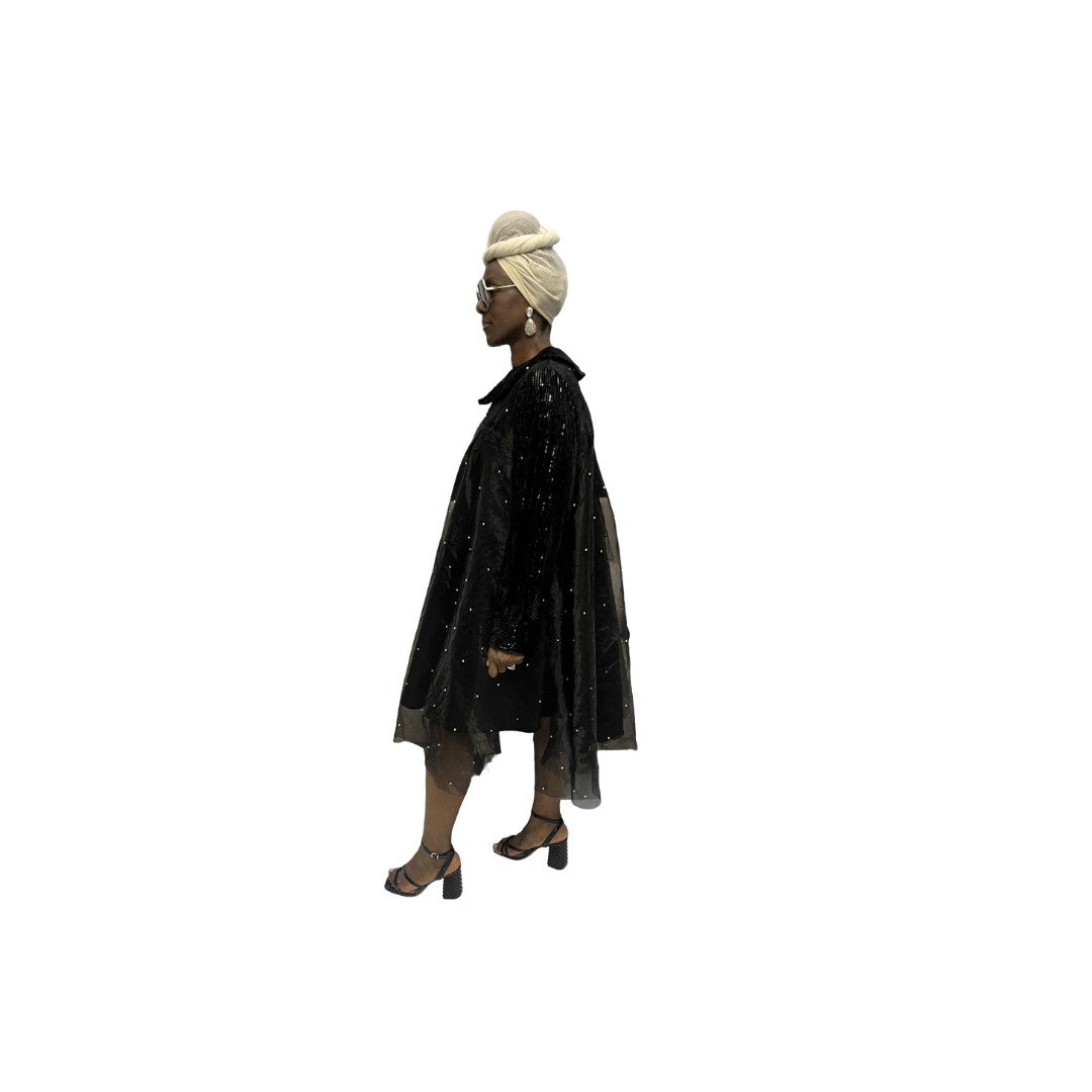 Stoned Organza Flared Dress