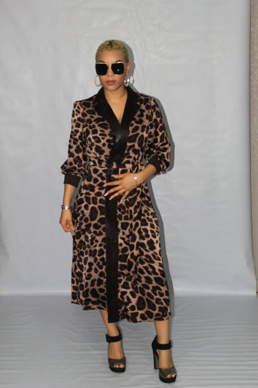 Animal Print Dress with Faux Leather Trimmings, Womens Clothing, African Womens Clothing.