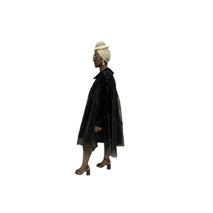 Stoned Organza Flared Dress