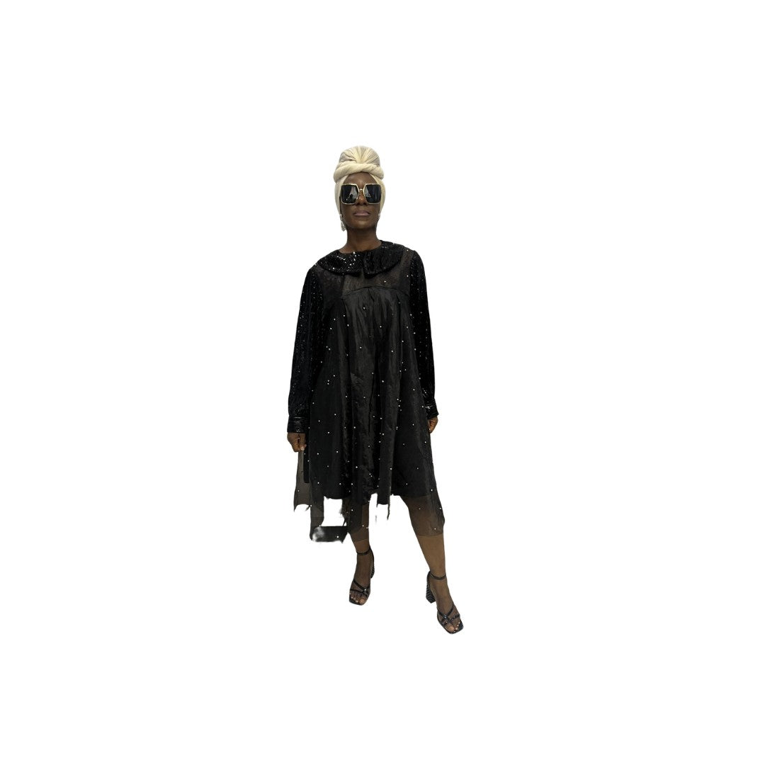 Stoned Organza Flared Dress