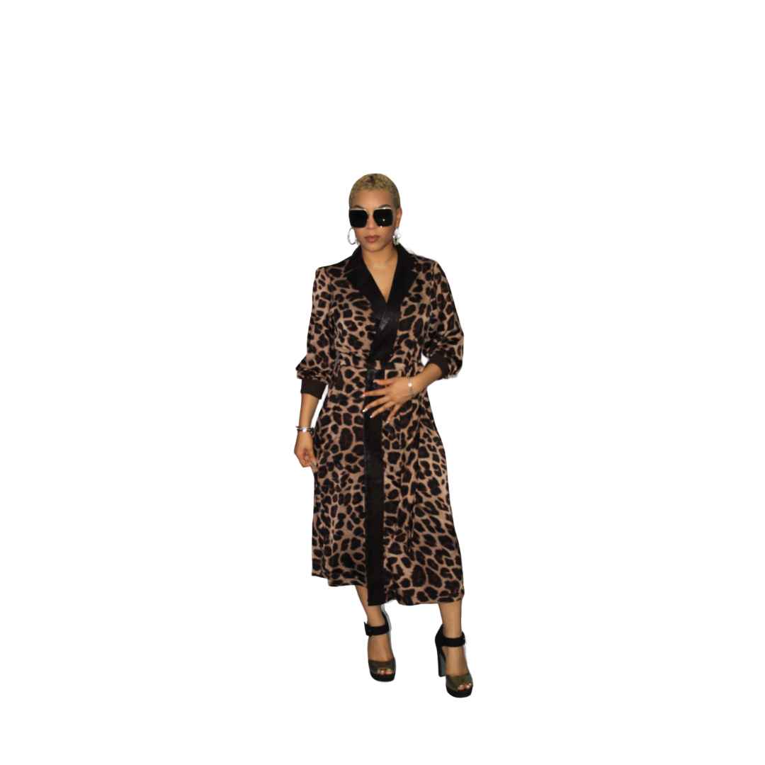 Animal Print Dress with Faux Leather Trimmings, Womens Clothing, African Womens Clothing.