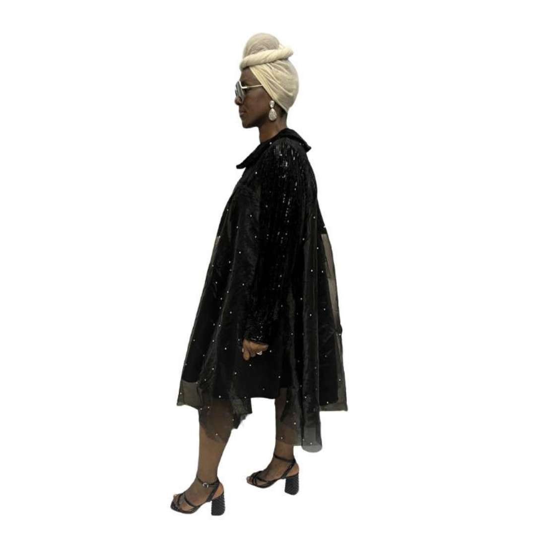 Stoned Organza Flared Dress