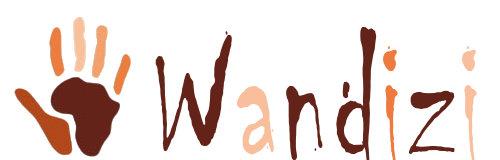 Wandizi 